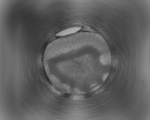 X0000082180670200702162328