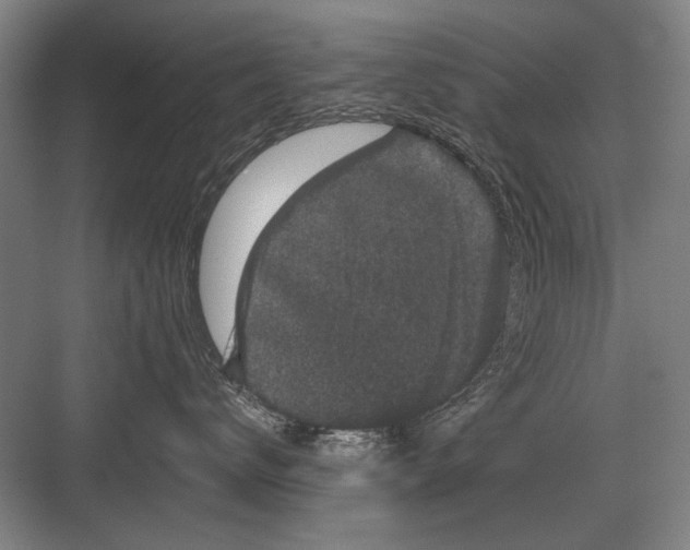 X0000082180672200702162328