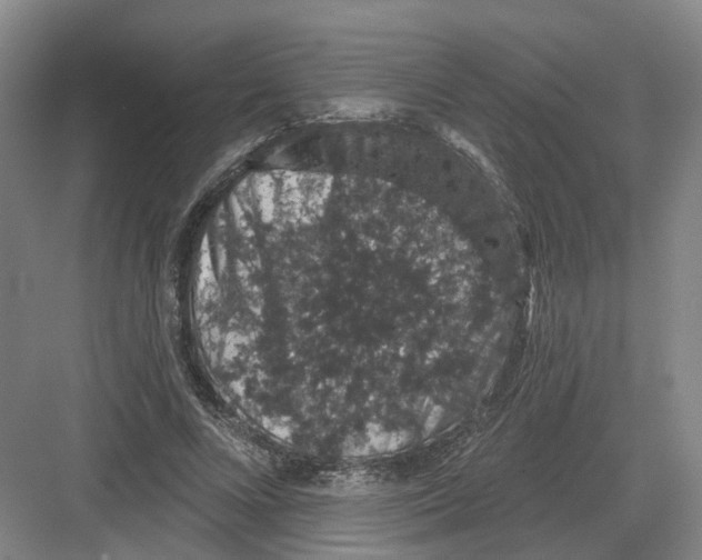X0000082180688200702162327