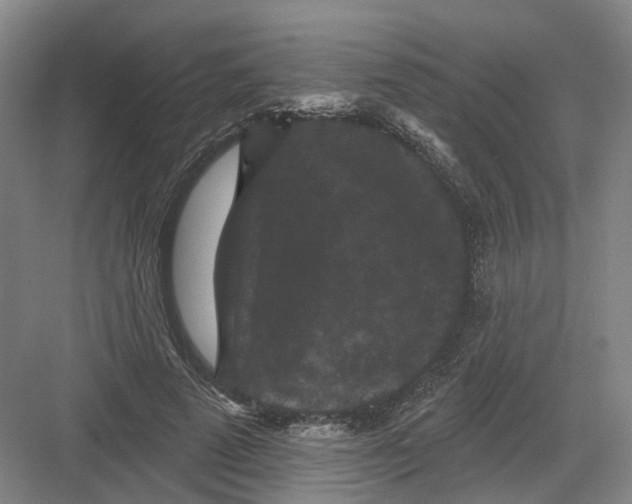 X0000082180689200702162327