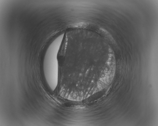 X0000082180692200702162327