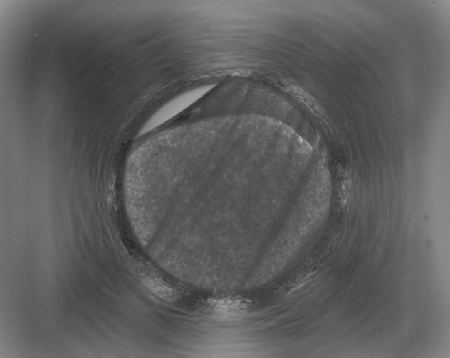 X0000082180693200702162327