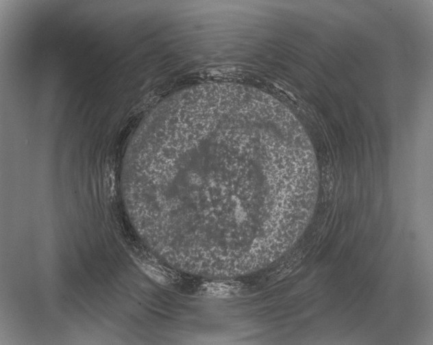 X0000082180703200702162327