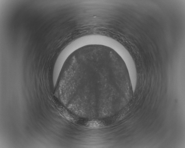 X0000082180704200702162327