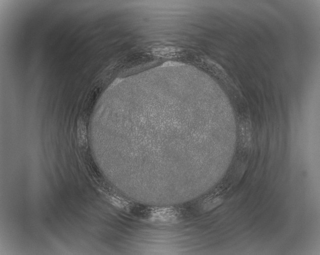 X0000082180705200702162327
