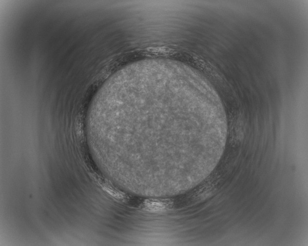 X0000082180706200702162327