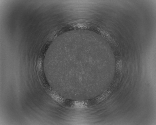 X0000082180709200702162327