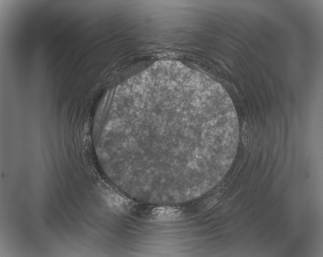 X0000082180714200702162327