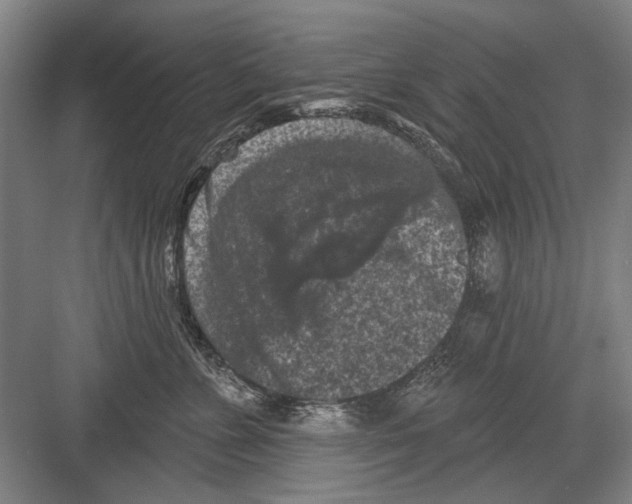 X0000082180715200702162327
