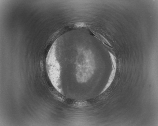 X0000082180716200702162327