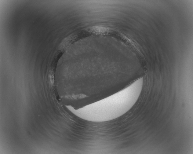 X0000082180718200702162326