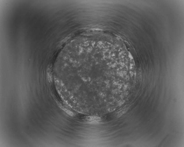X0000082180719200702162326