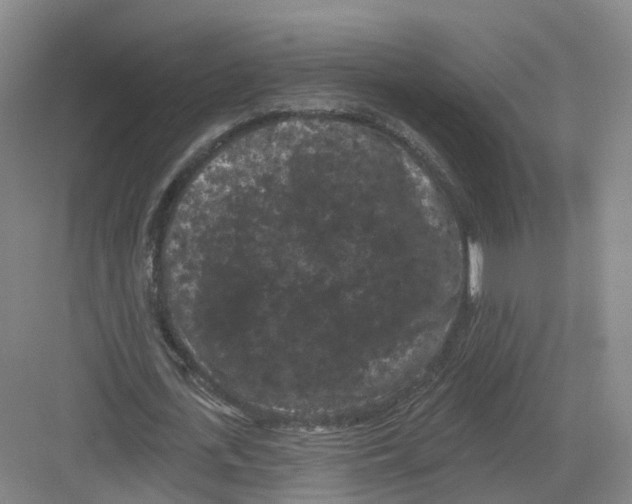 X0000082180723200702162326