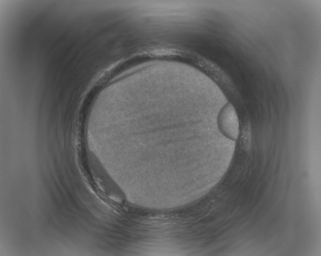 X0000082180732200702162326