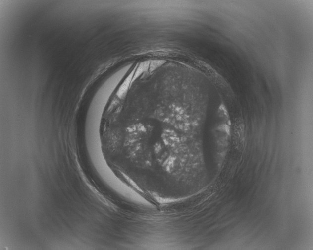 X0000082180734200702162326