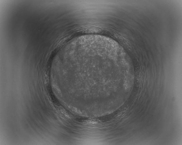 X0000082180743200702162326