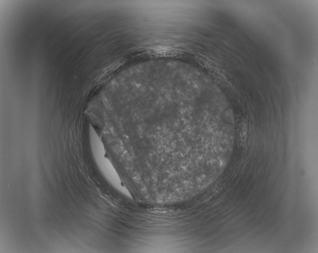 X0000082180746200702162326