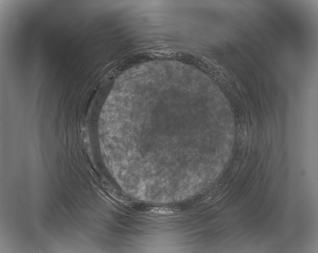 X0000082180749200702162326