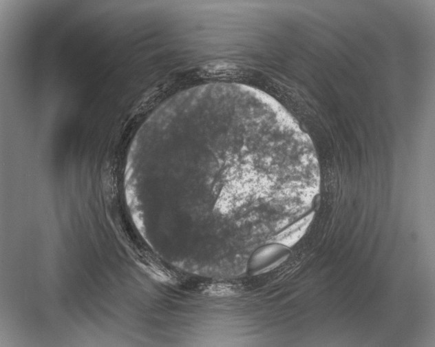 X0000082180751200702162326