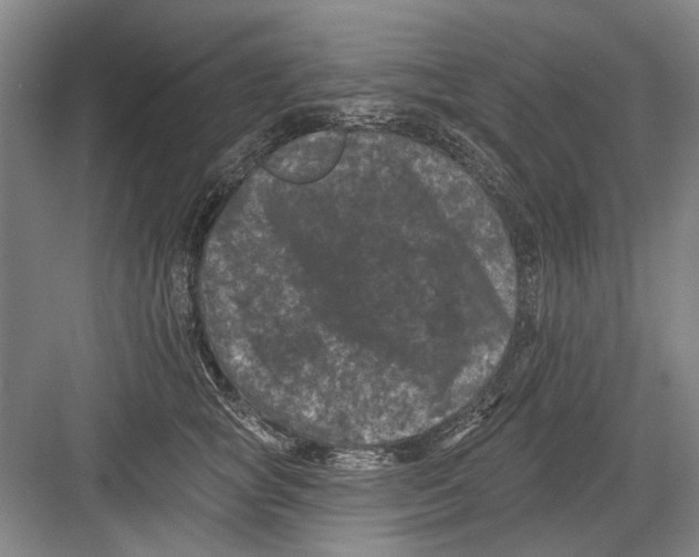 X0000082180757200702162326
