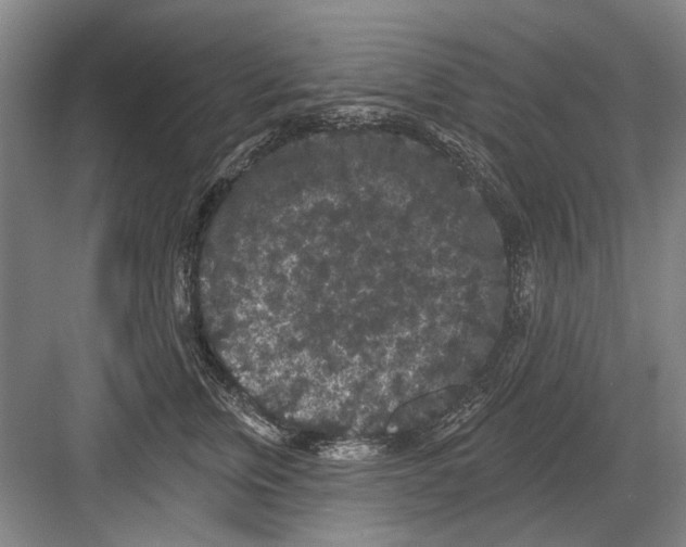 X0000082180759200702162326