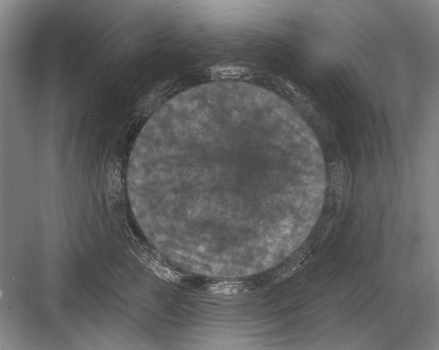 X0000082180761200702162326
