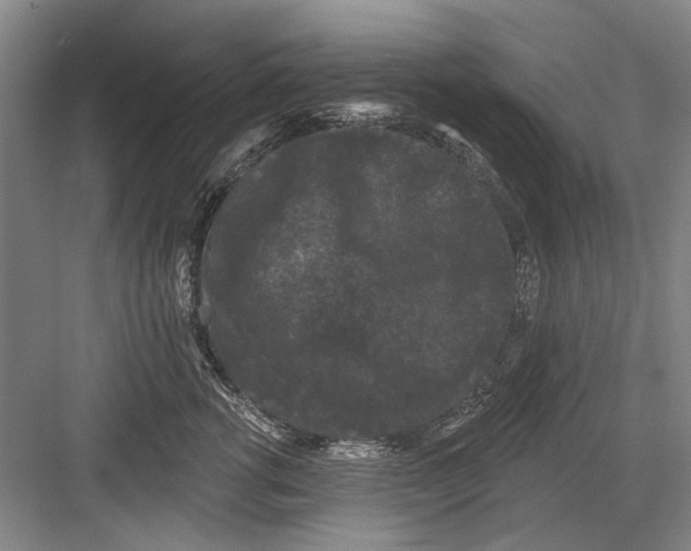 X0000082180762200702162326
