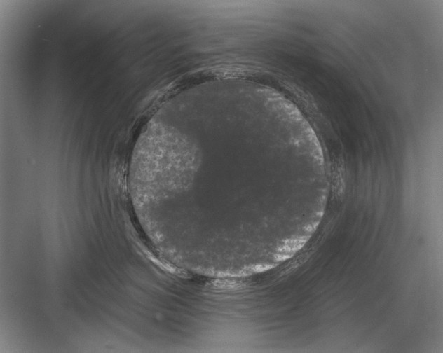 X0000082180766200702162326
