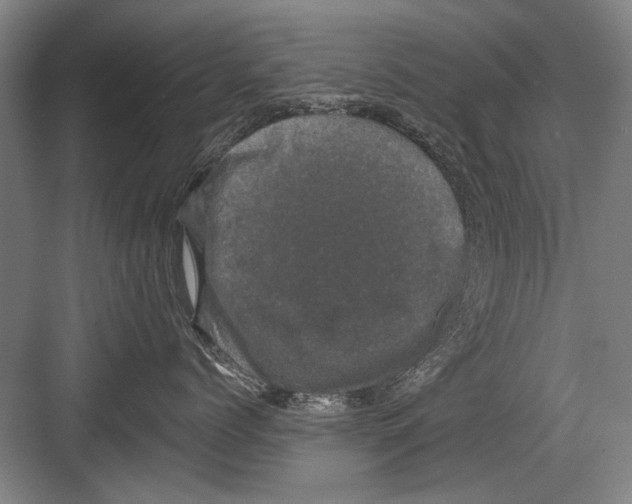 X0000082180768200702162326