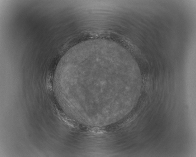 X0000082180770200702162326