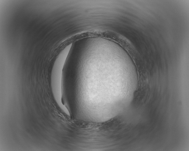 X0000082180773200702162326