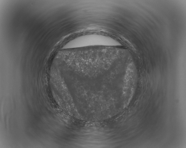 X0000082180776200702162326