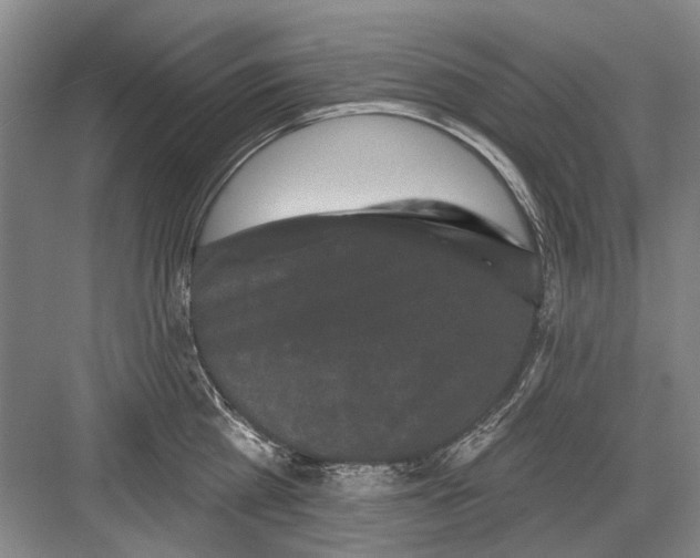 X0000082180809200702162325