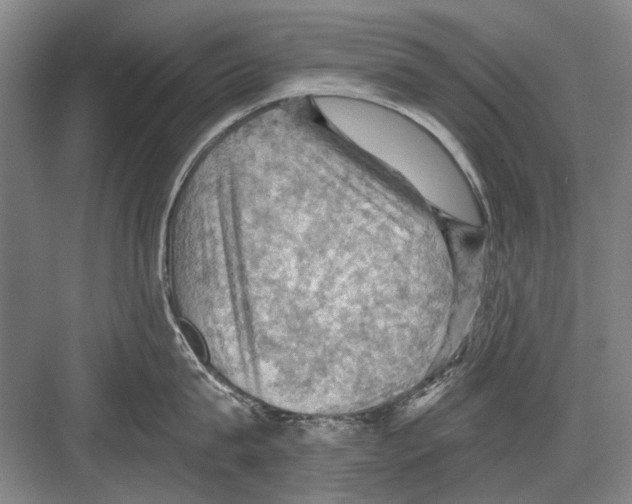 X0000082180815200702162325