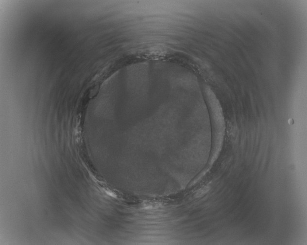 X0000082180818200702162324