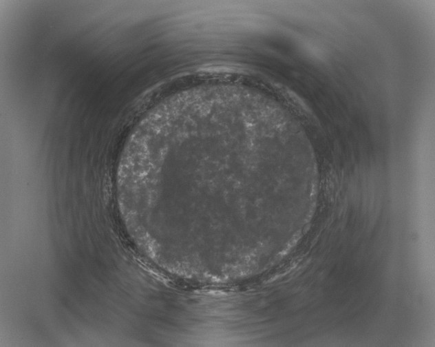 X0000082180821200702162324