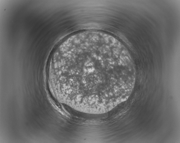 X0000082180840200702162324