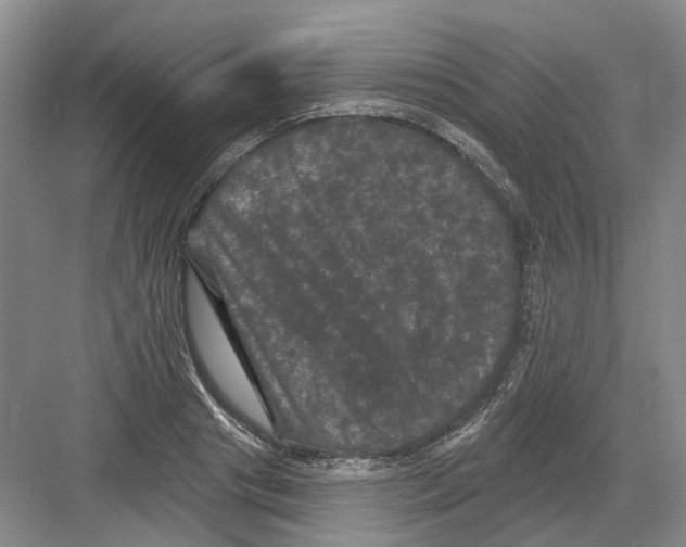 X0000082180841200702162324