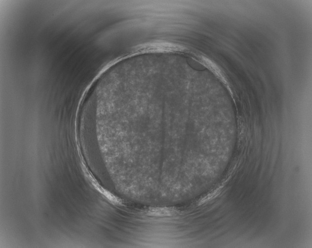 X0000082180843200702162324