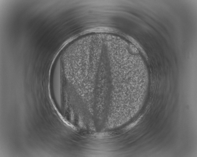 X0000082180845200702162325