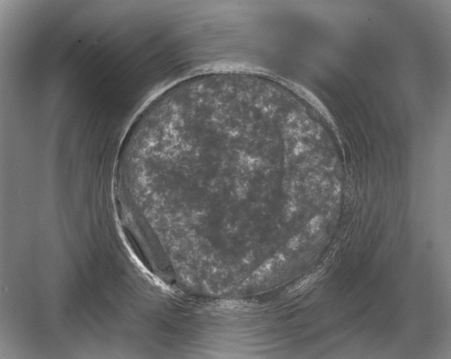 X0000082180847200702162325