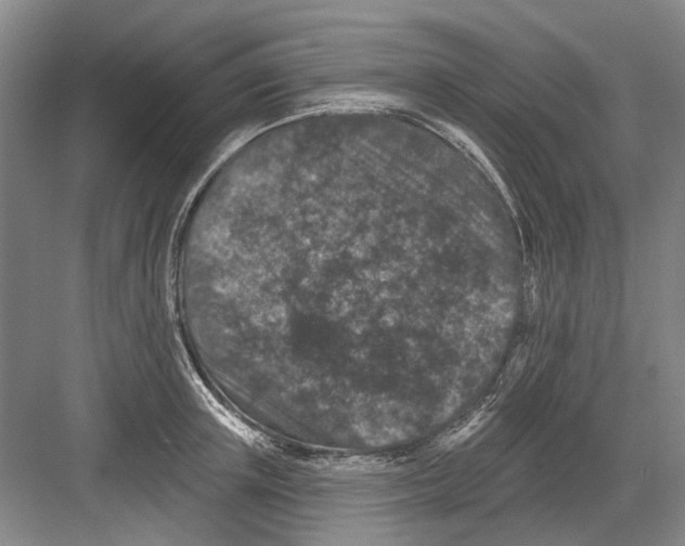 X0000082180851200702162325