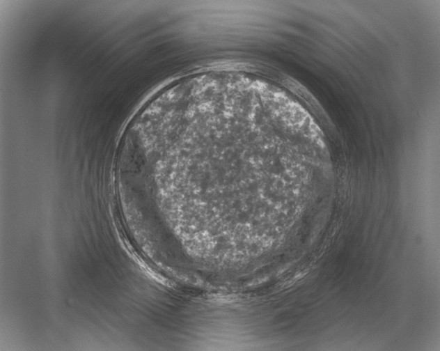 X0000082180852200702162325