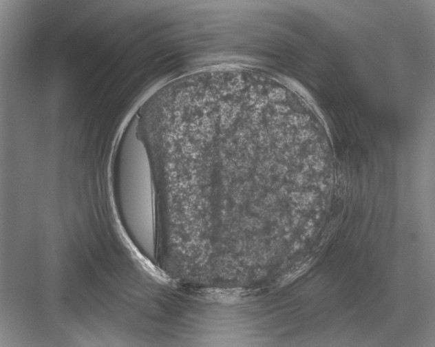 X0000082180859200702162325