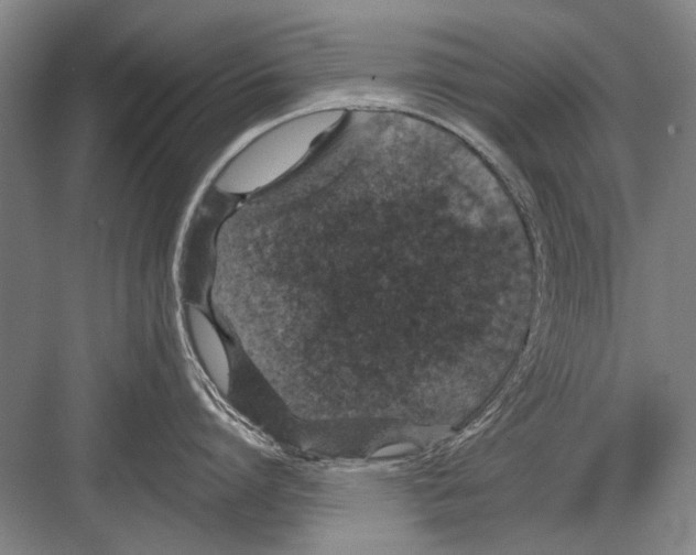 X0000082180864200702162325
