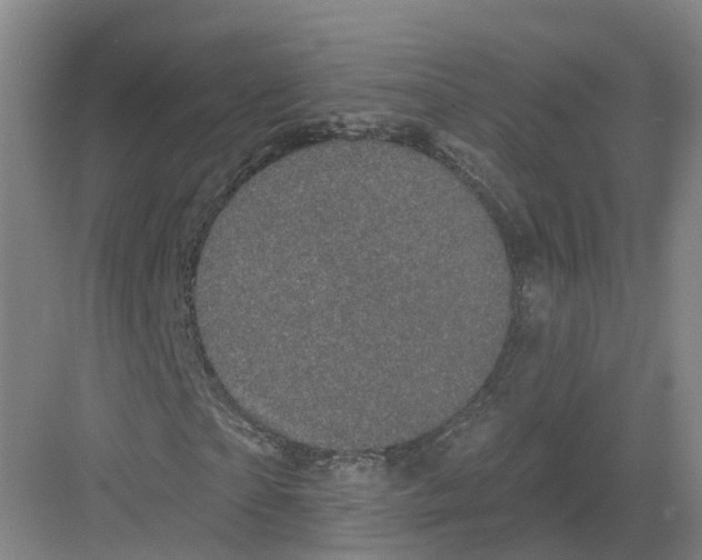 X0000082180865200702162324