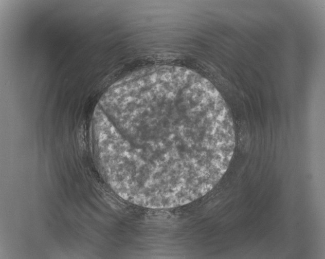 X0000082180866200702162324