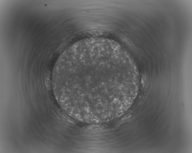 X0000082180867200702162324