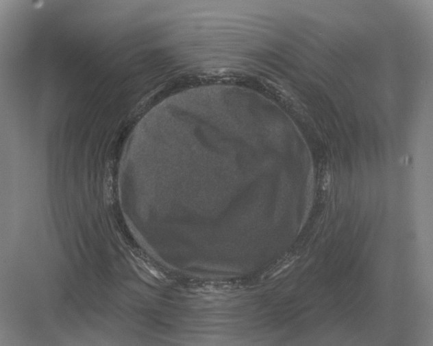X0000082180868200702162324