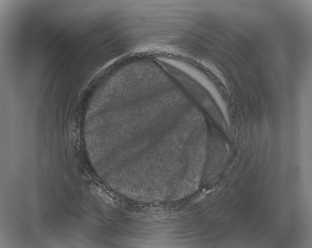 X0000082180872200702162324